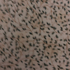 Quilters Basics