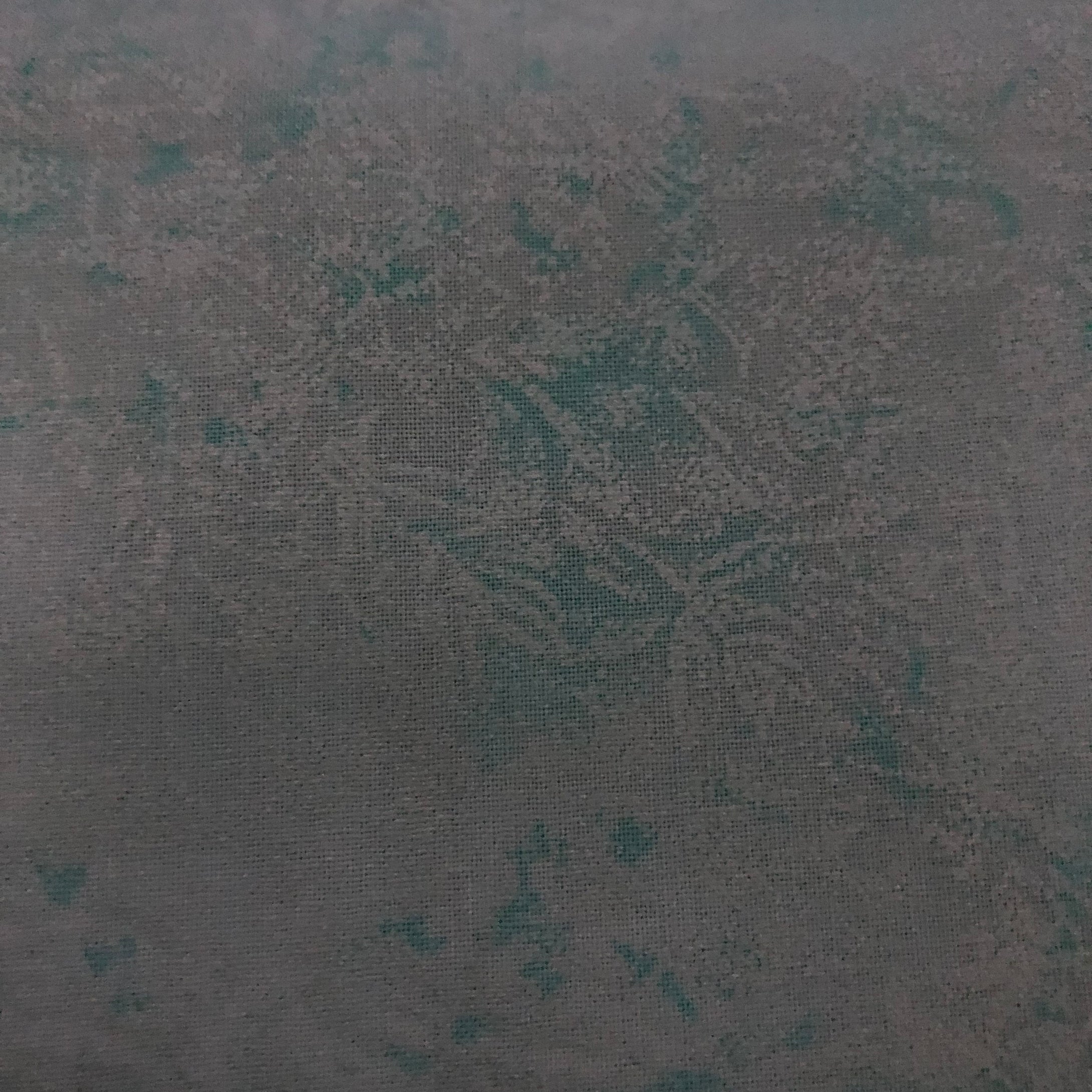 Fairy Frost