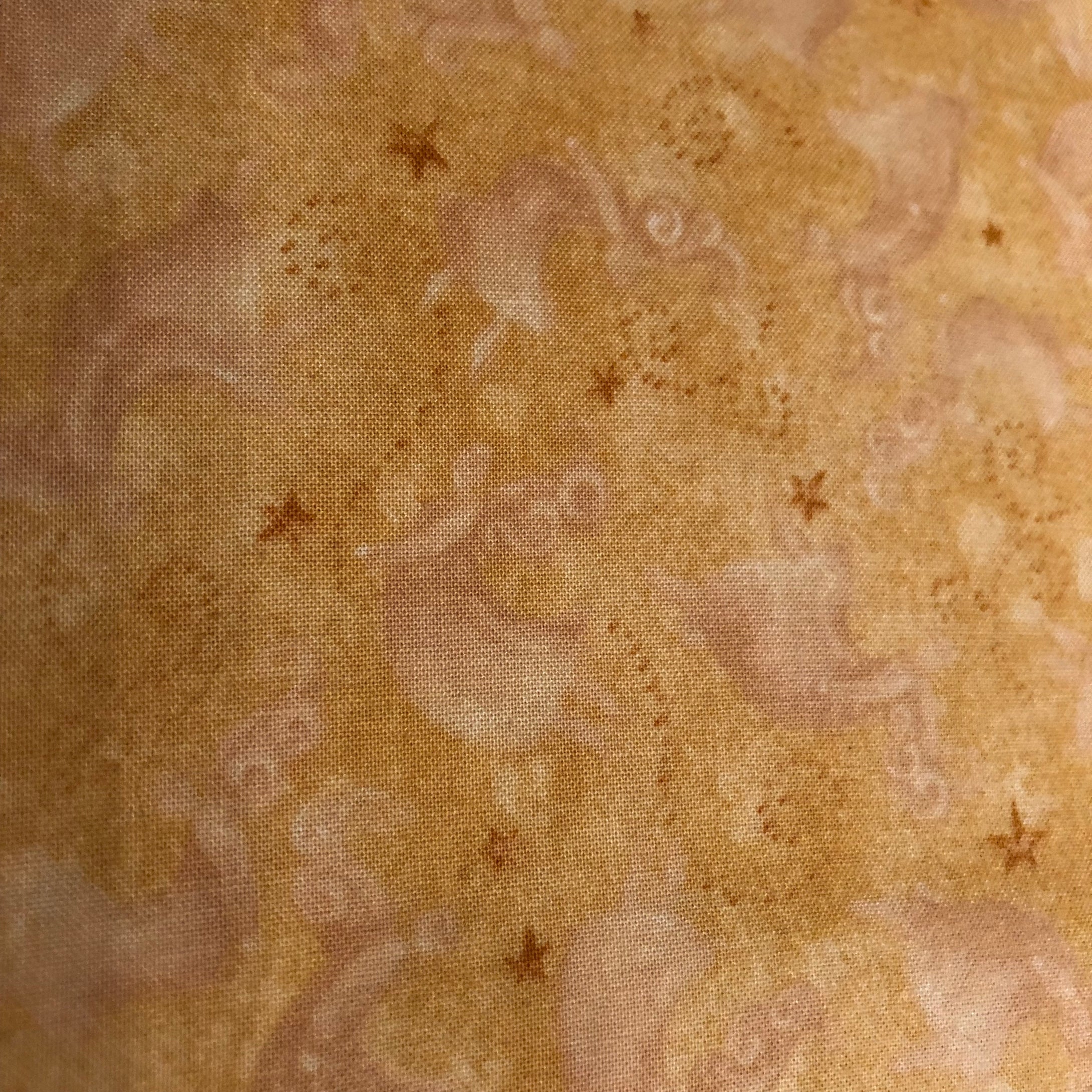 Star of Wonder