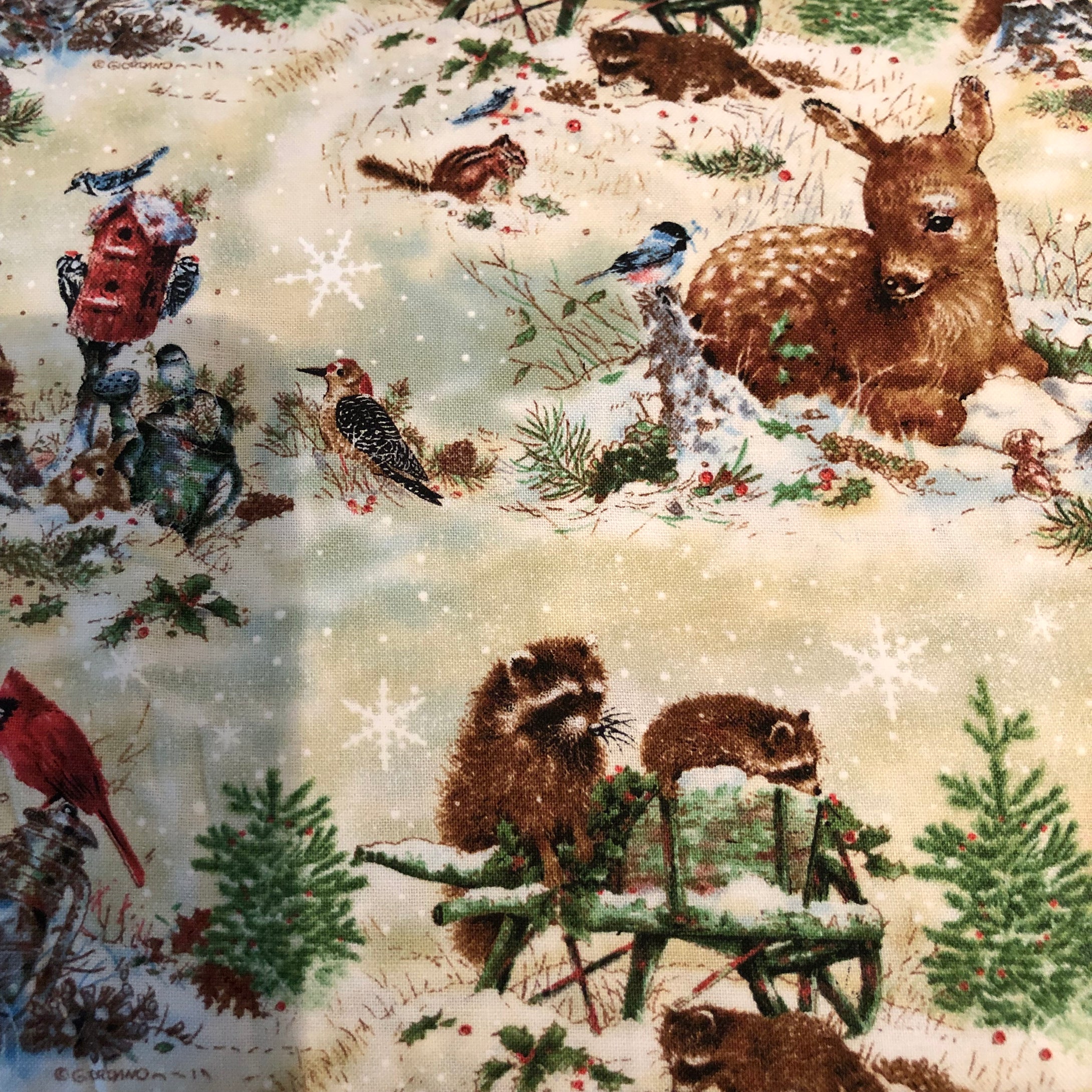Winter Animals