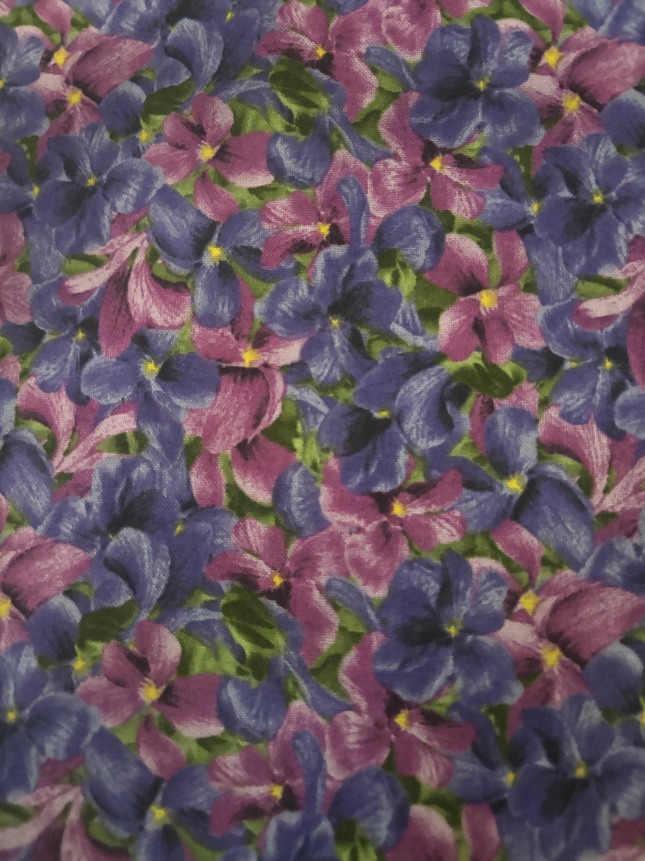 Violetta