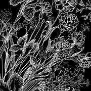 Assorted blacks/whites-021-183