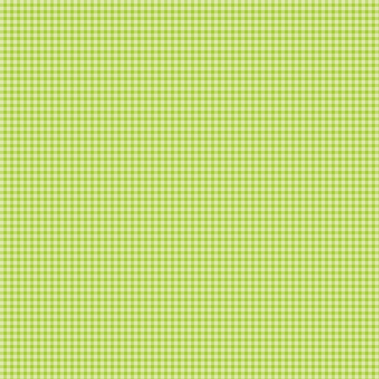 Warp & Weft 2