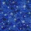 Winter Wonderland