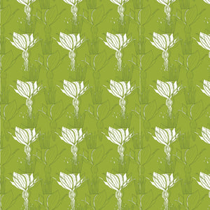 Blomma-003-178