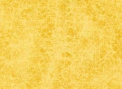 Load image into Gallery viewer, Belle Notte