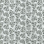 Load image into Gallery viewer, Assorted Blacks and Whites