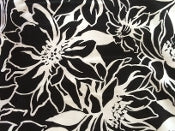 Assorted Blacks and Whites
