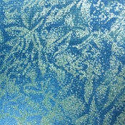 Fairy Frost