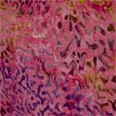 Java Corals-015-311