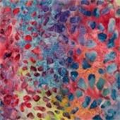 Java Corals-013-311