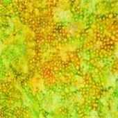 Java Corals-008-311