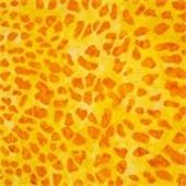 Java Corals-012-311