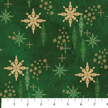 Load image into Gallery viewer, Starry Night and Holiday