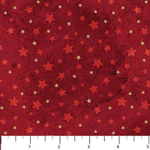Load image into Gallery viewer, Starry Night and Holiday