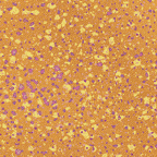 Load image into Gallery viewer, Bittersweet