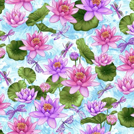 Dragonfly Garden