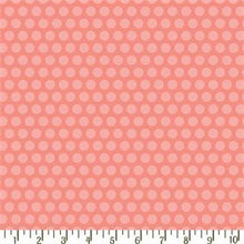 Load image into Gallery viewer, Nested Owls