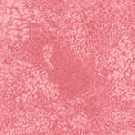 Essentials - Salt Texture-002-351