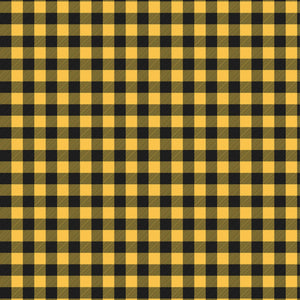 Buffalo Check