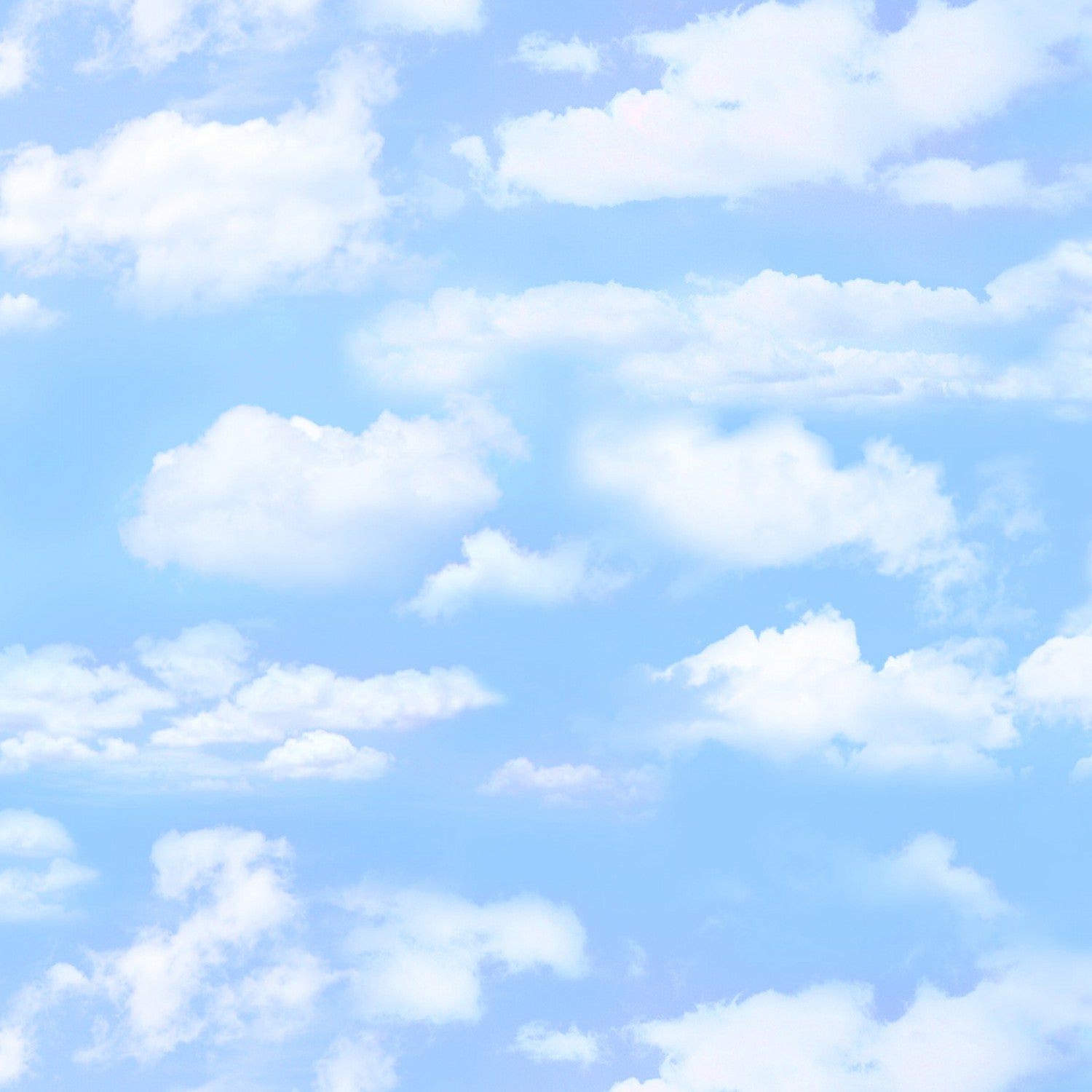 Landscape Medley