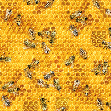 Bees & Flowers
