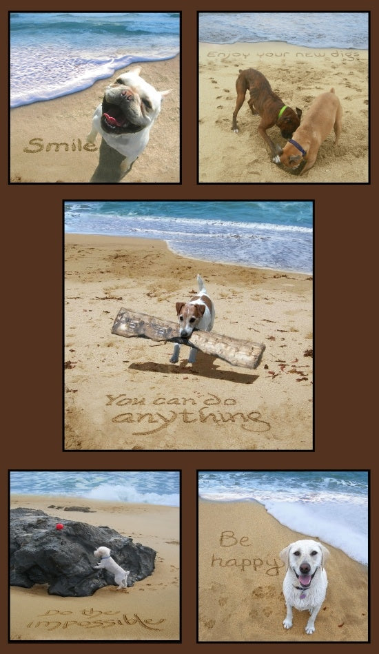 Sand Scribbles-001-334