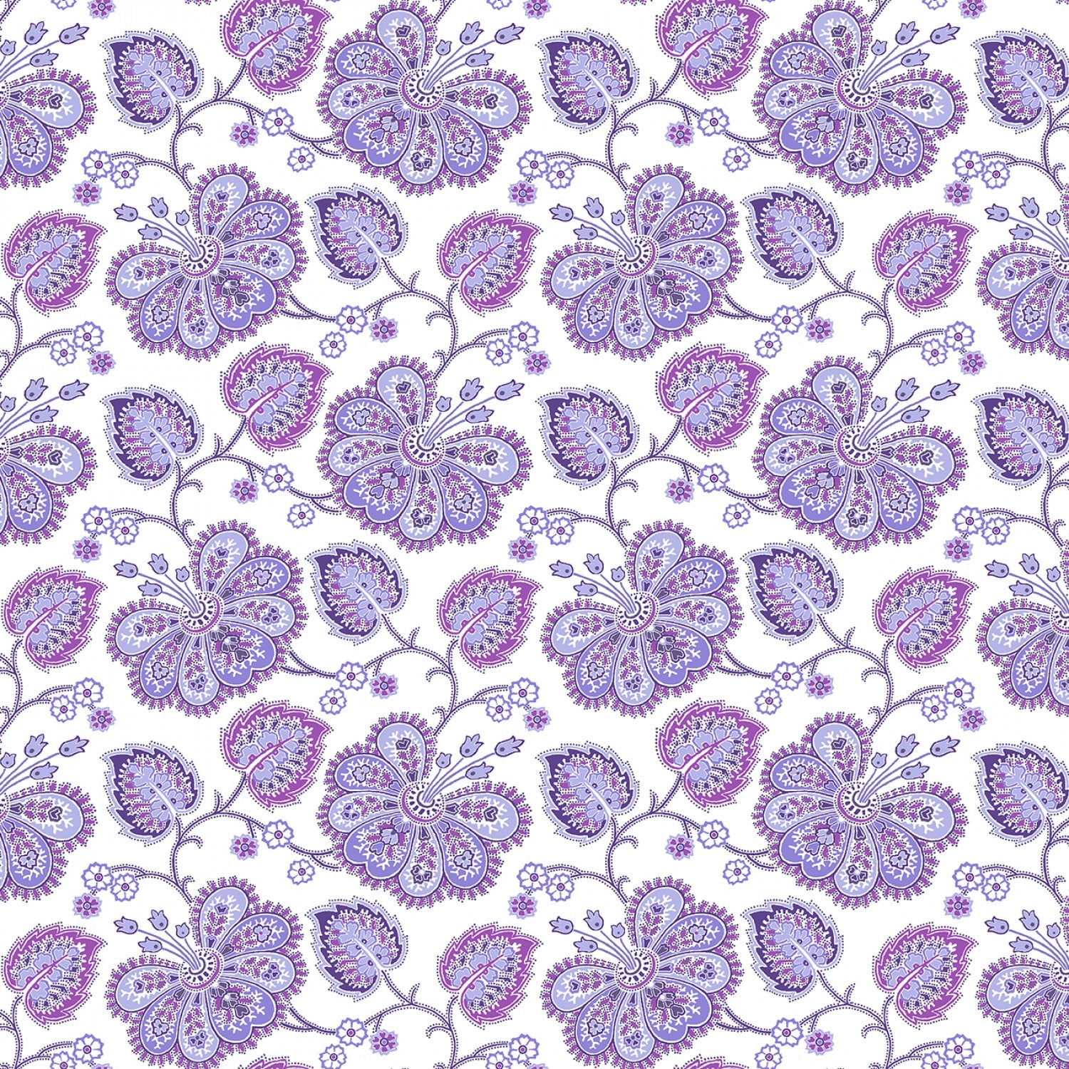 Lavender Fields