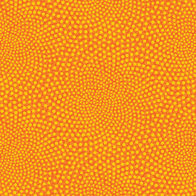 Breezy Blooms-004-508
