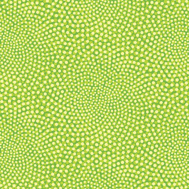 Breezy Blooms-002-508