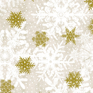 Magic of Winter-006-586