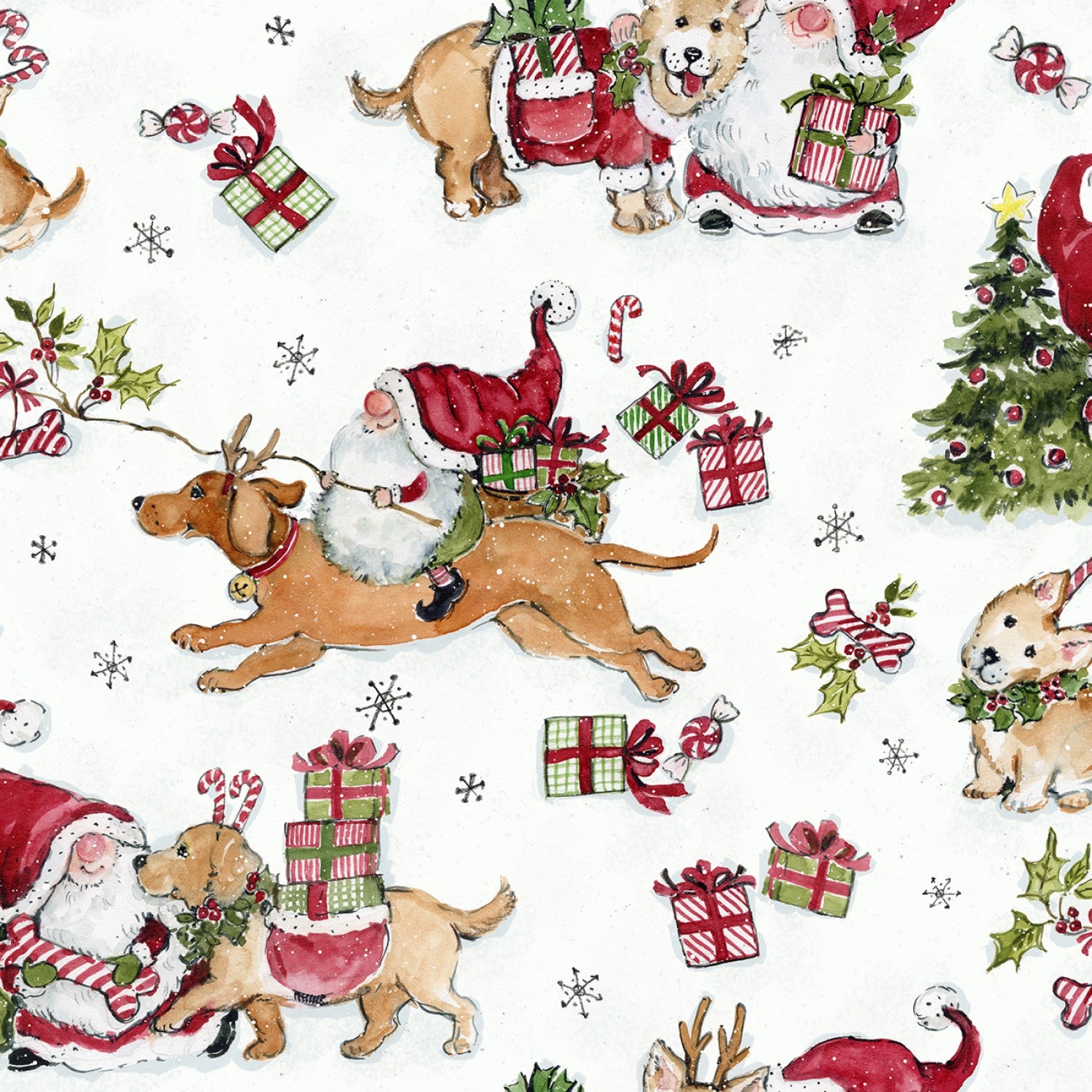 Gnomes and Puppies