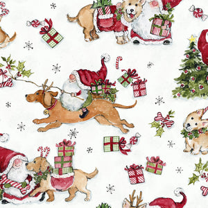 Gnomes and Puppies