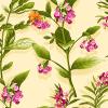 Botanica II Spring-003-129