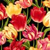 Botanica II Spring-001-129