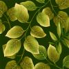 Botanica II Spring-007-129