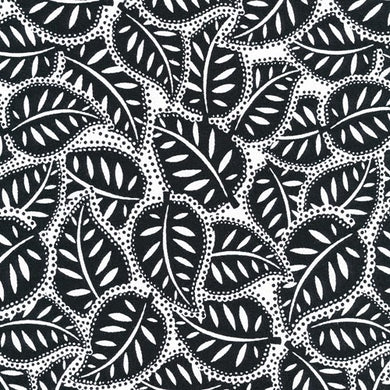 Assorted blacks/whites-005-593