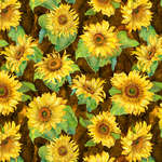 Slice of Sunshine-002-517