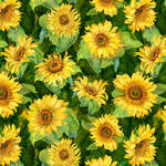 Slice of Sunshine-004-517