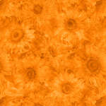 Slice Of Sunshine-010-517