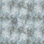 Tidepools-006-537