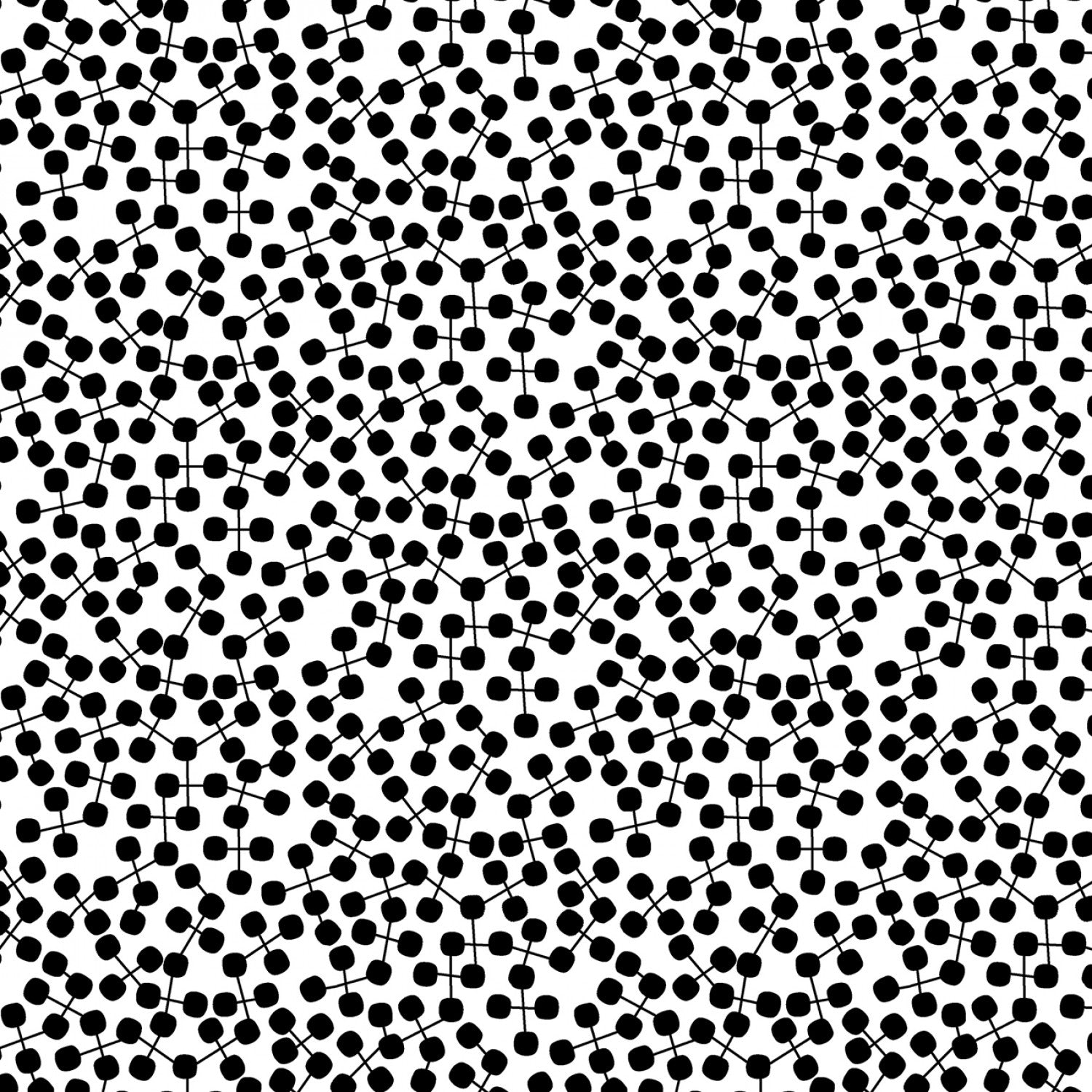 Black White & Bright
