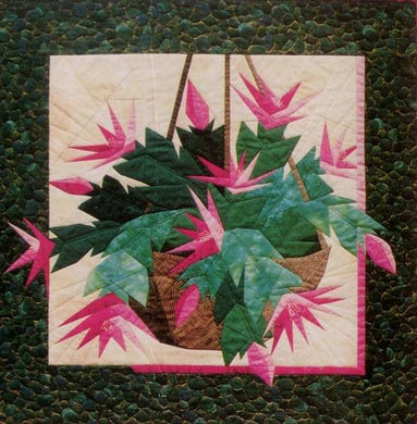 Christmas Cactus-0227-2000