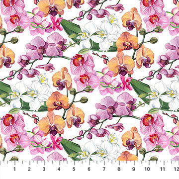 Orchids In Bloom