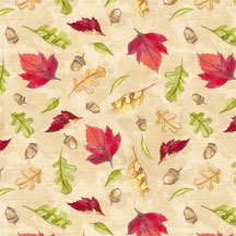 A Colorful Season-006-342