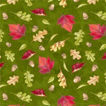 A Colorful Season-008-342