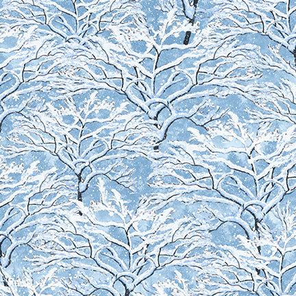 Snow Day-008-343