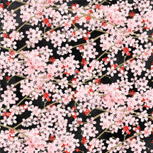 Hanami Falls-003-370