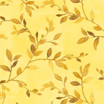 Felicity-006-419