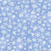 Snow Day-011-343